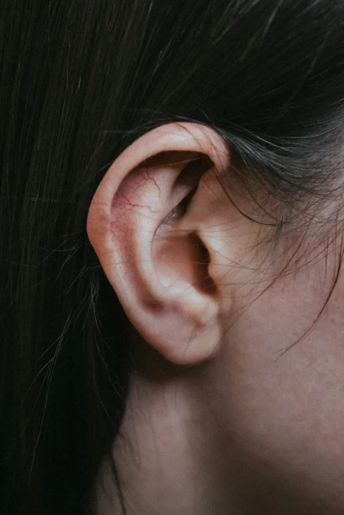Close-up of an ear